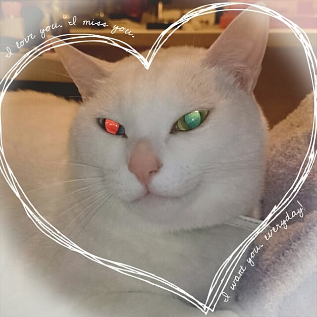 kikinanaさんの実例写真