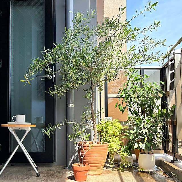 up0524さんの実例写真