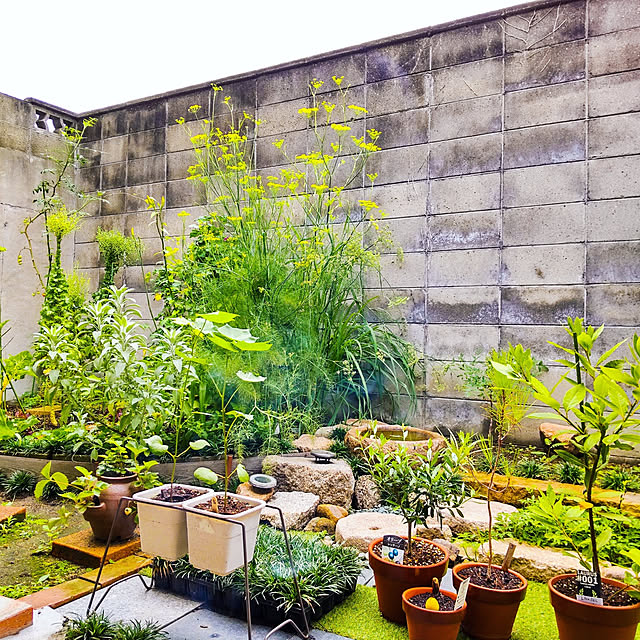 玄関/入り口/人生はアート/丁寧な暮らし/薬草菜園/医食同源...などのインテリア実例 - 2022-07-15 09:07:35