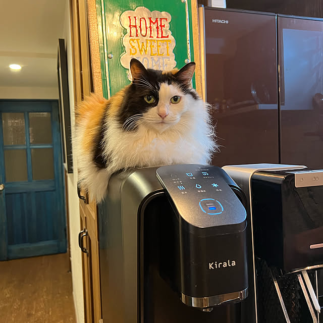 booさんの実例写真