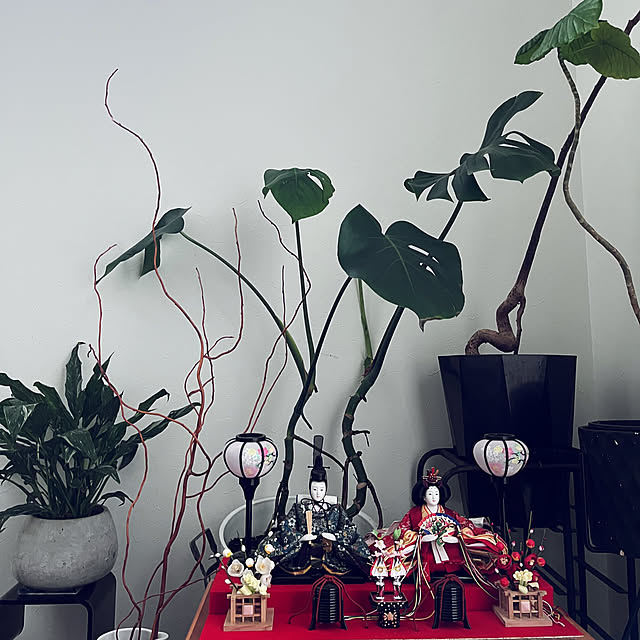 ameさんの実例写真