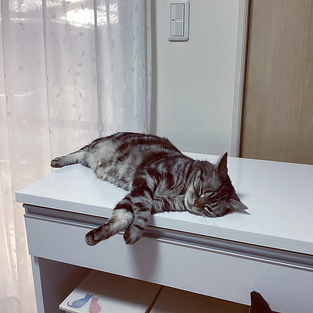 richanさんの実例写真