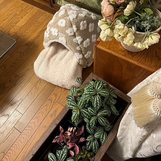 mamizaさんの実例写真