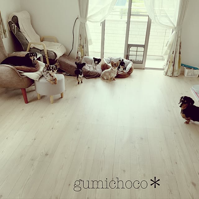 gumichoco.さんの実例写真