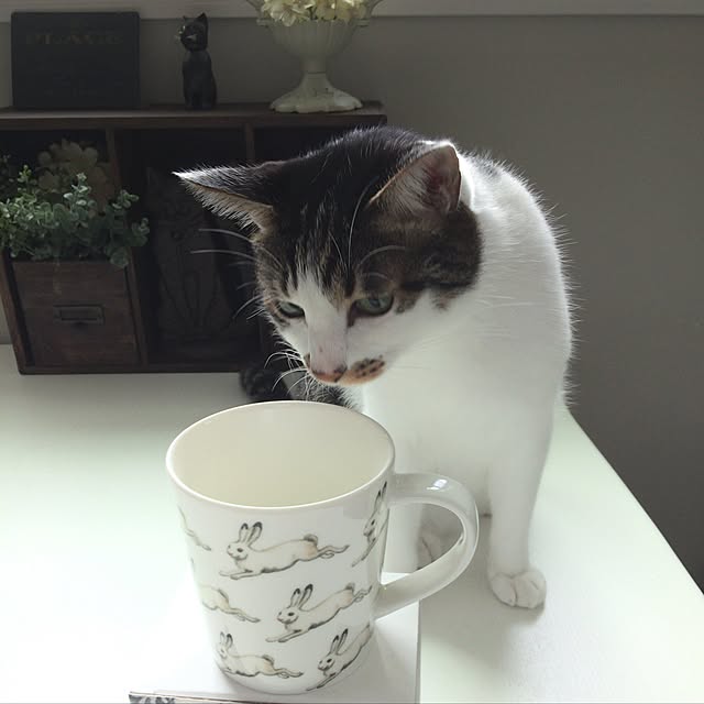 yuchiさんの実例写真
