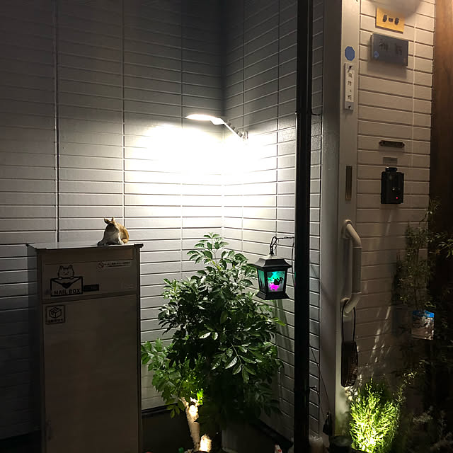 実例写真