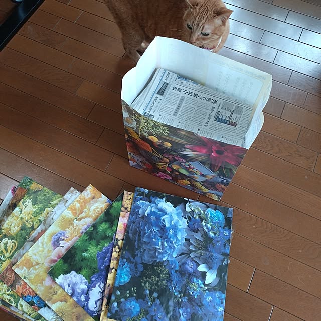 NOAHさんの実例写真