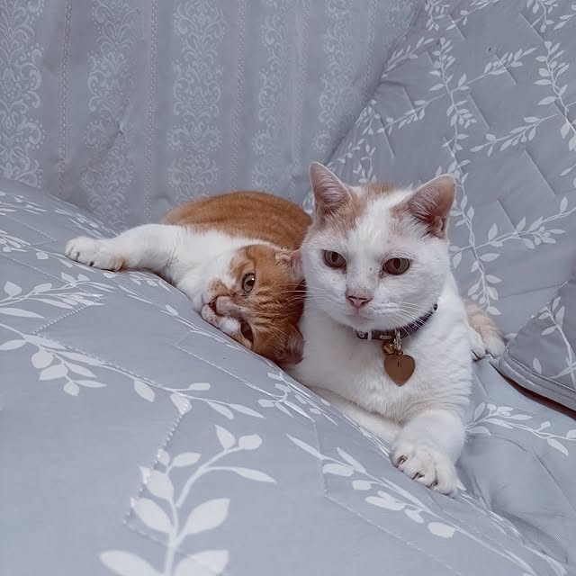 NOAHさんの部屋