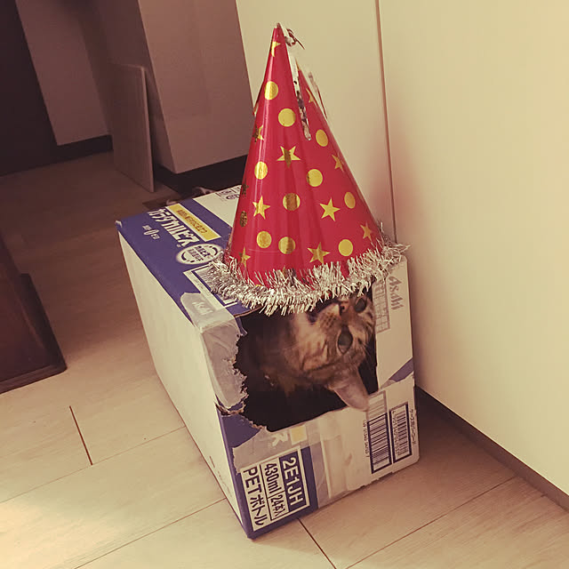 Mさんの実例写真