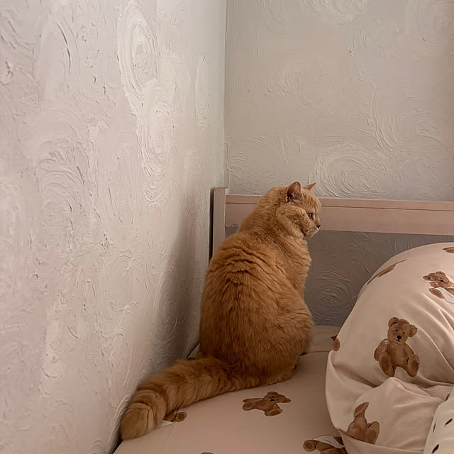 naokoさんの実例写真