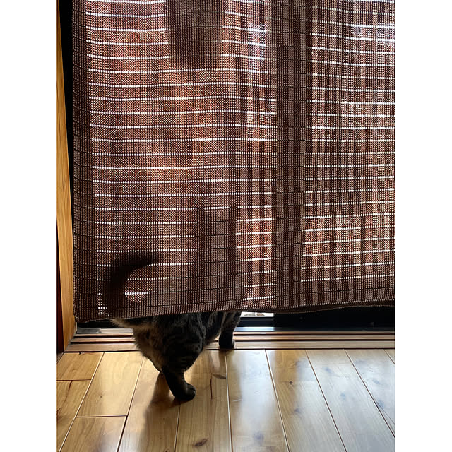 yumiさんの実例写真