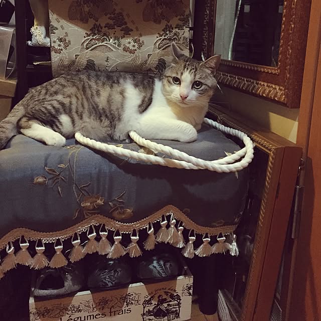 emmyyさんの実例写真