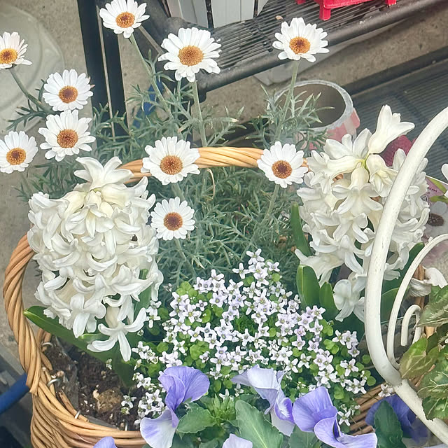 cocoさんの実例写真