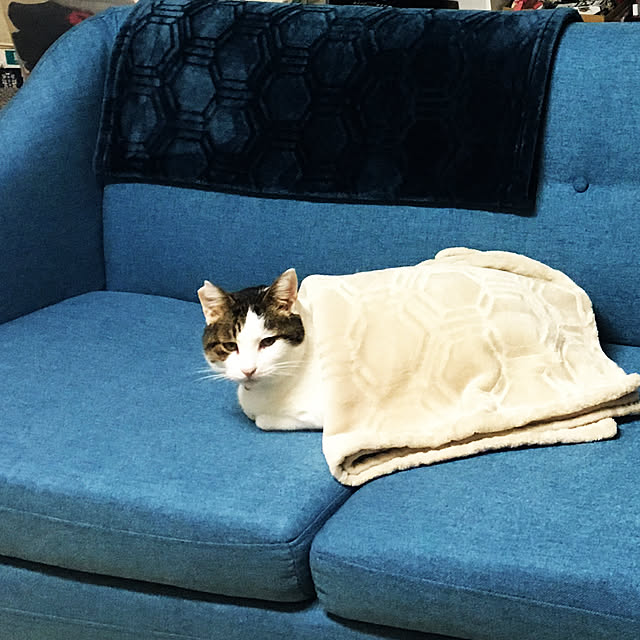natsuminchuさんの実例写真