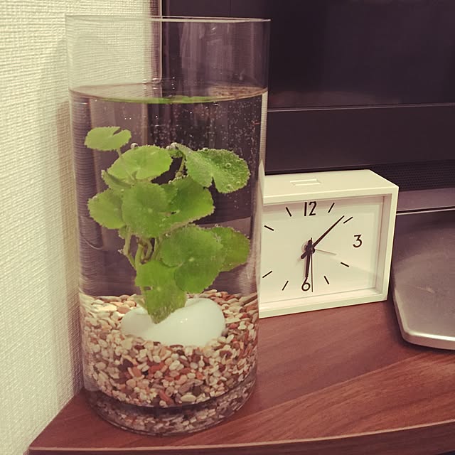 Ayaさんの実例写真