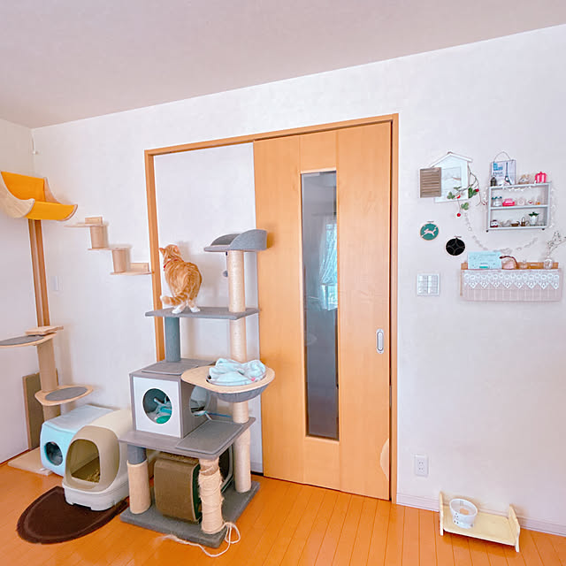 moolさんの部屋