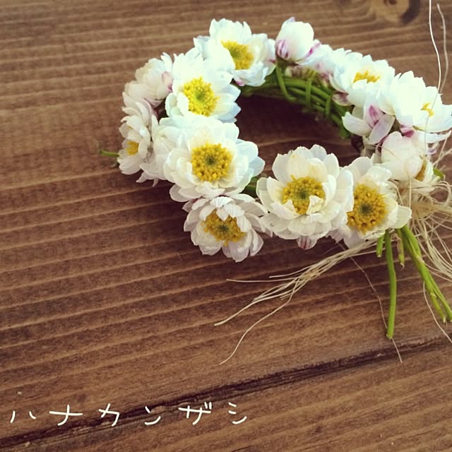 gamiさんの実例写真