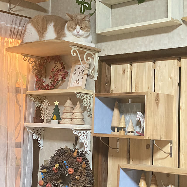 mintteaさんの部屋