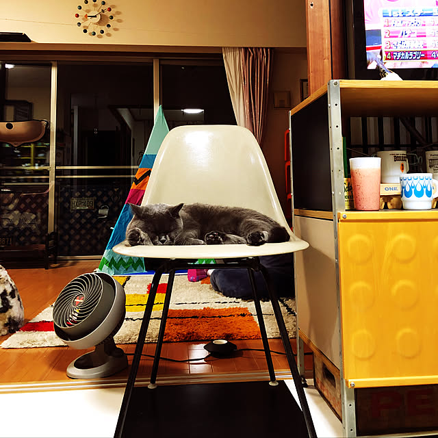Shojiさんの実例写真