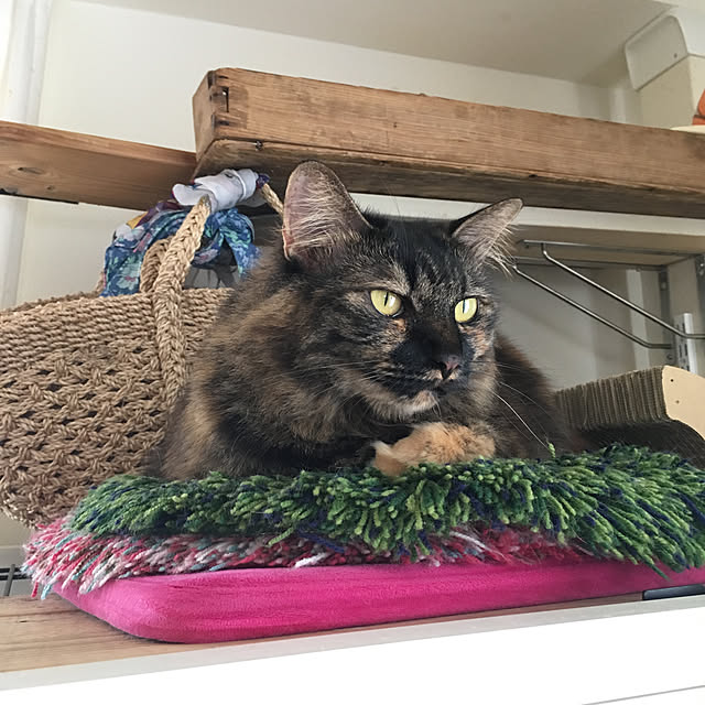 mikomaruさんの実例写真
