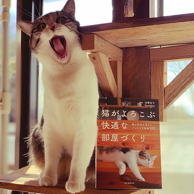 rioさんの実例写真