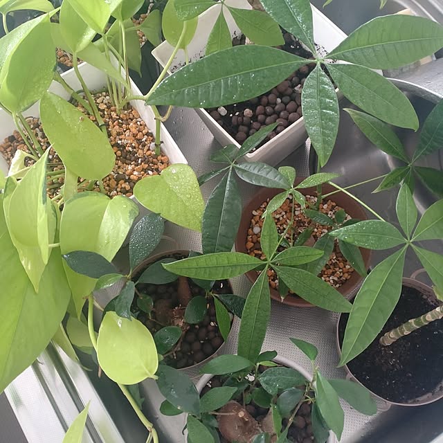 tan5さんの部屋