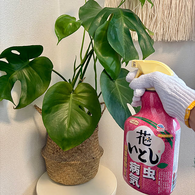A.Iさんの実例写真