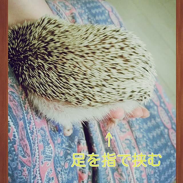 kuruさんの実例写真