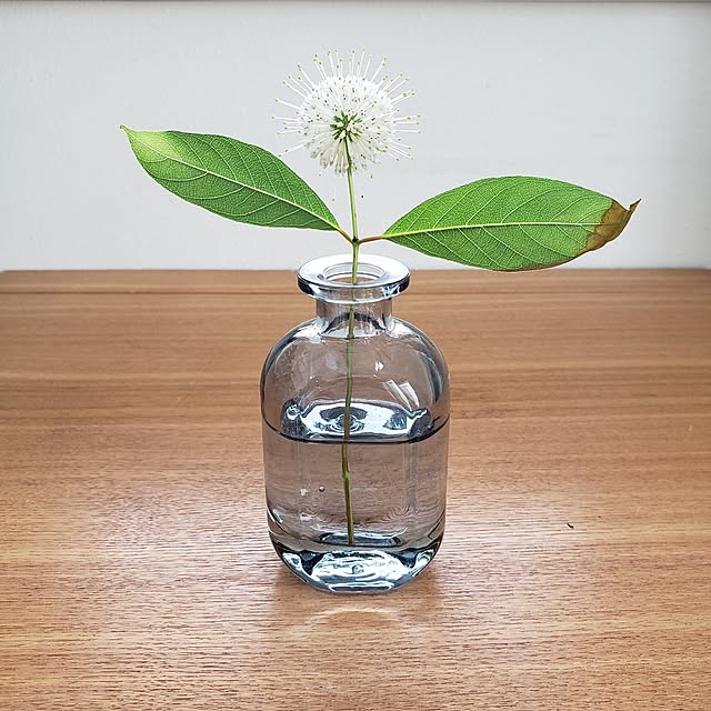 chidorinさんの実例写真