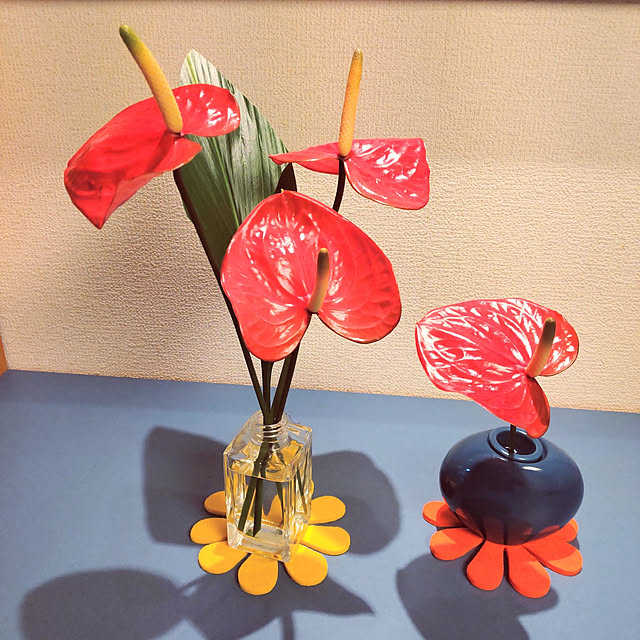ampinさんの実例写真