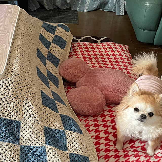 natsumiさんの部屋