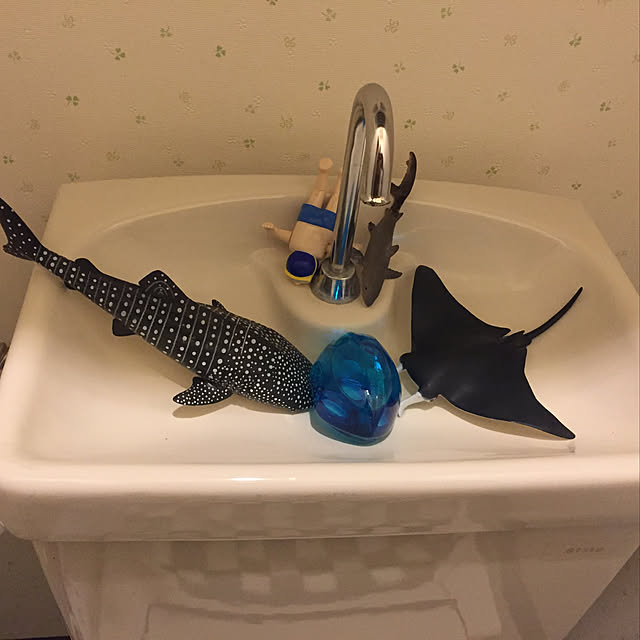 Shigeoさんの実例写真