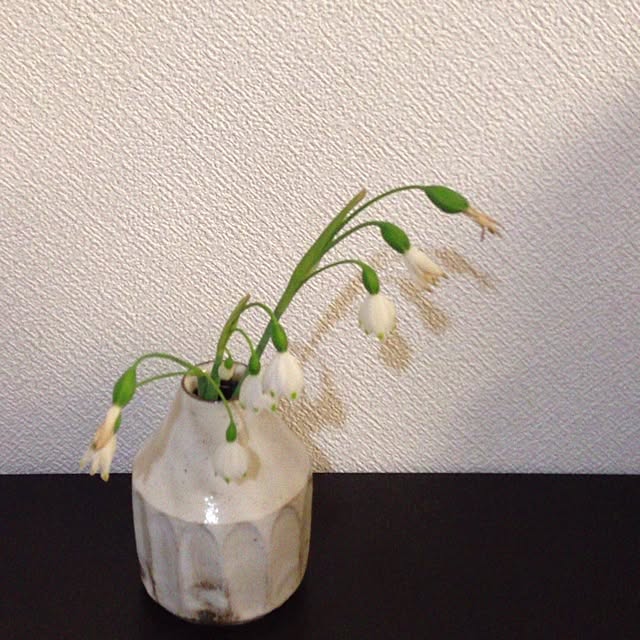 mameさんの実例写真