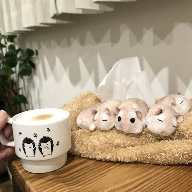 bonapetiさんの実例写真