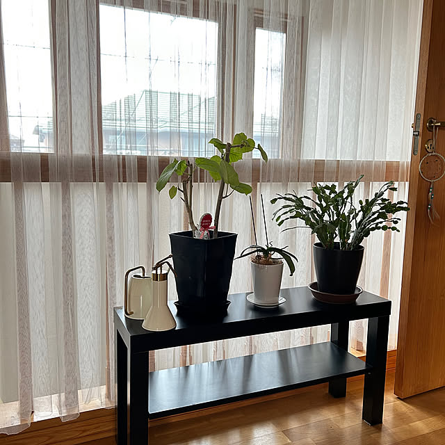 Ochibiさんの部屋