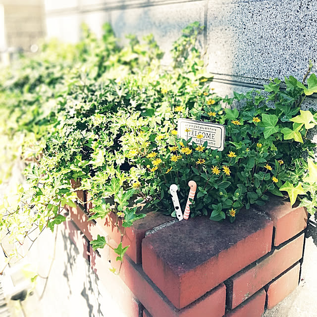 bambiさんの実例写真