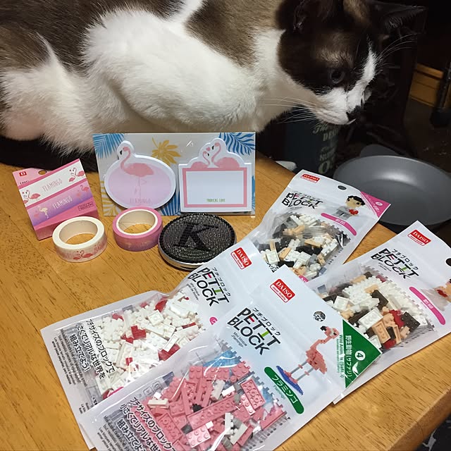 vivienne.coco-keiさんの実例写真
