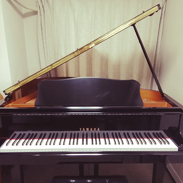 shirokumapianoさんの実例写真