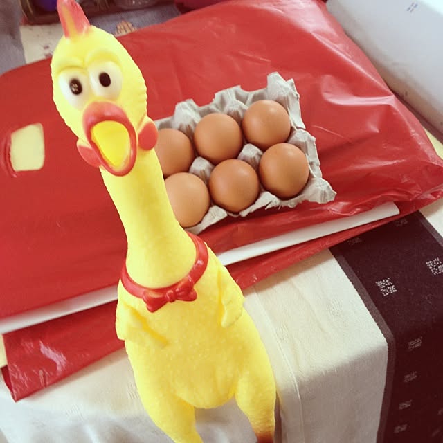 Siriさんの実例写真