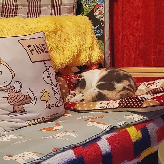 kumutanさんの部屋