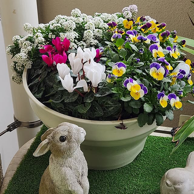 takoさんの実例写真