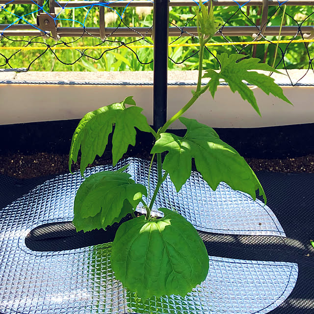 tomoさんの部屋