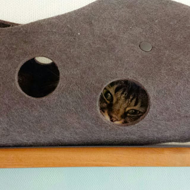 sachiblancさんの実例写真