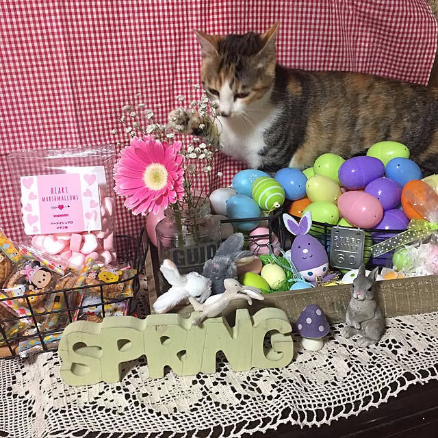 vivienne.coco-keiさんの実例写真