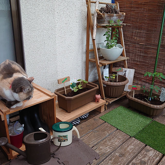 fukuさんの実例写真