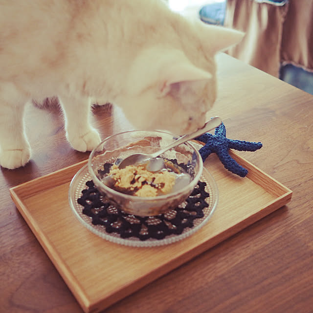 y.k.0123さんの実例写真