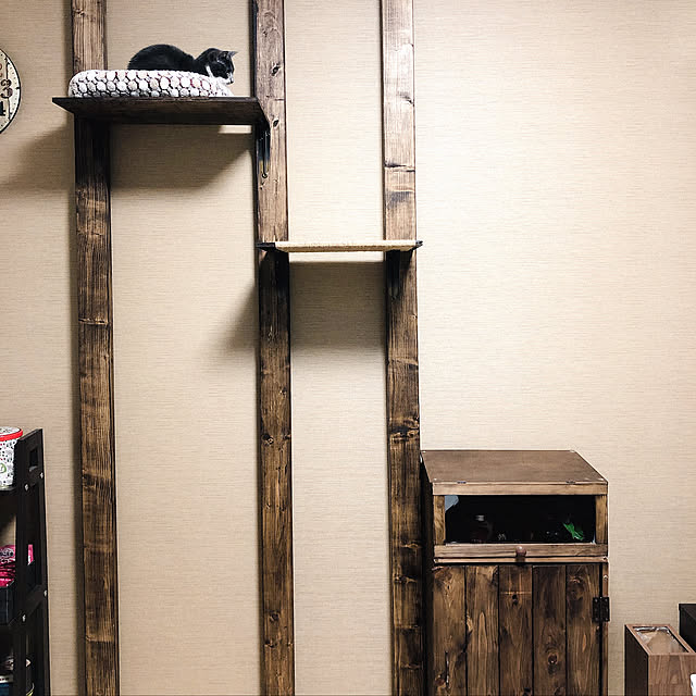 moppiさんの実例写真