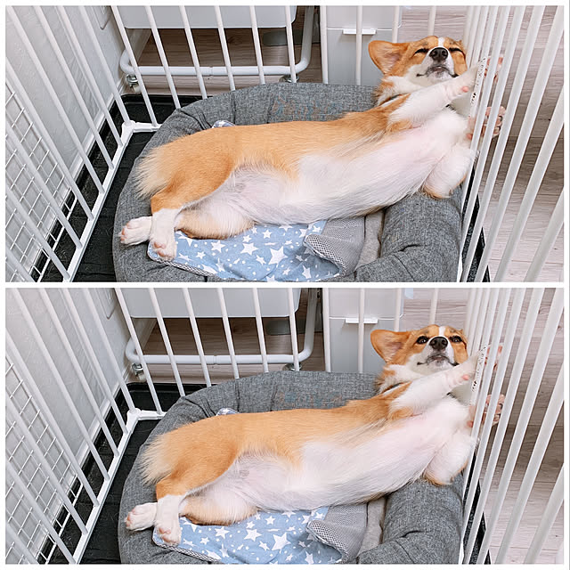 3ayuさんの実例写真