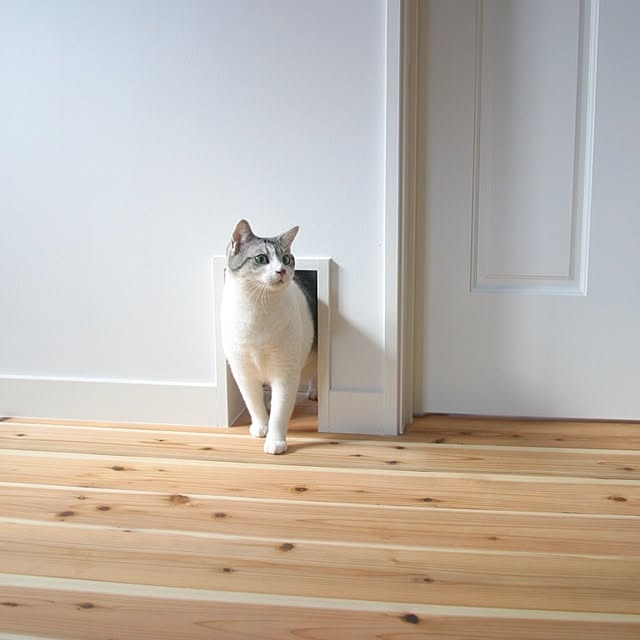 Tomo3さんの実例写真