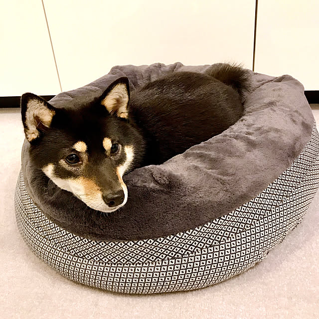 makiさんの実例写真